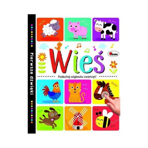 Wieś pierwsze dźwięki Wieś pierwsze dźwięki